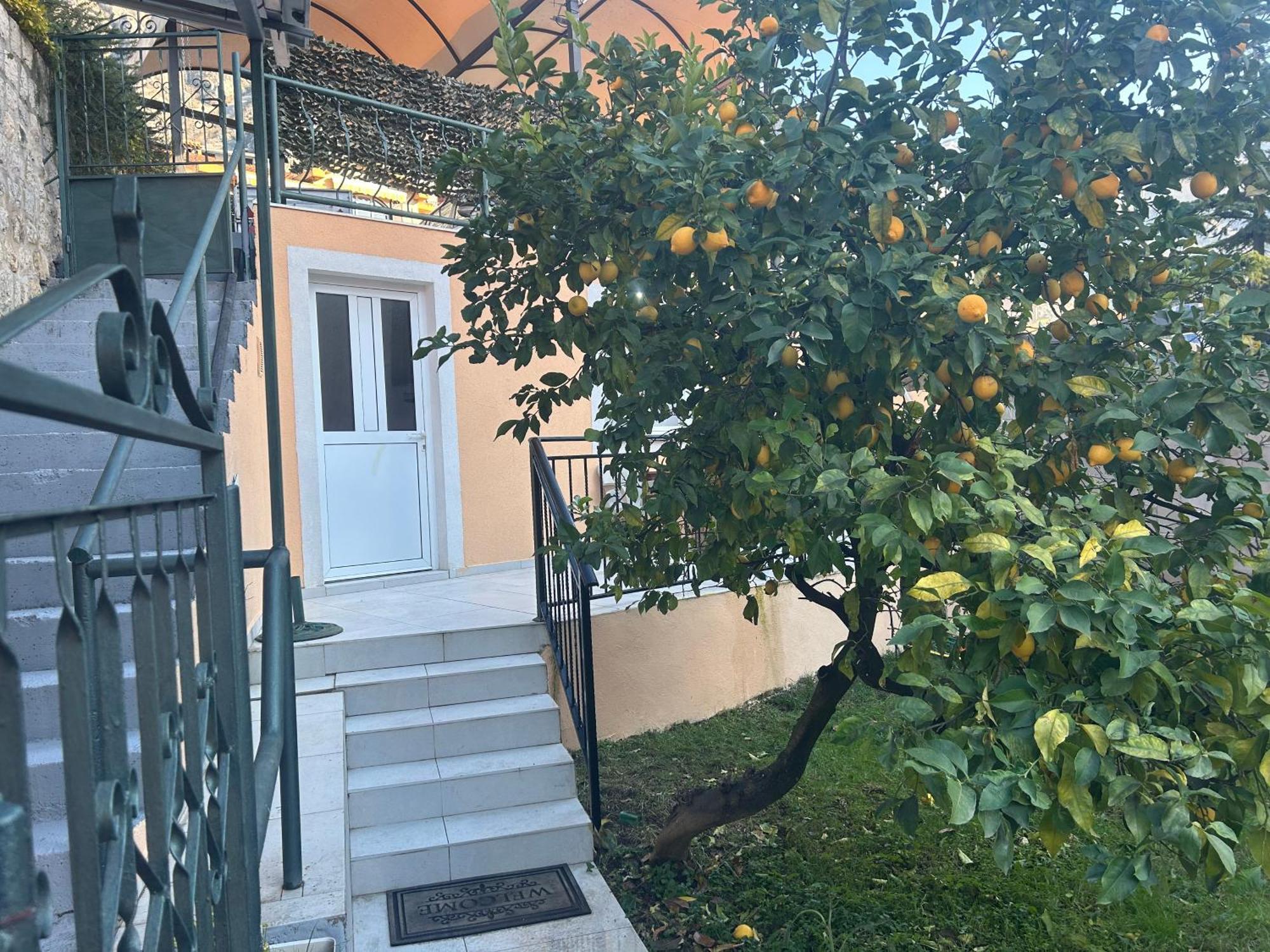 Villa Miramare , Dobrota Seafront Kotor Exterior photo